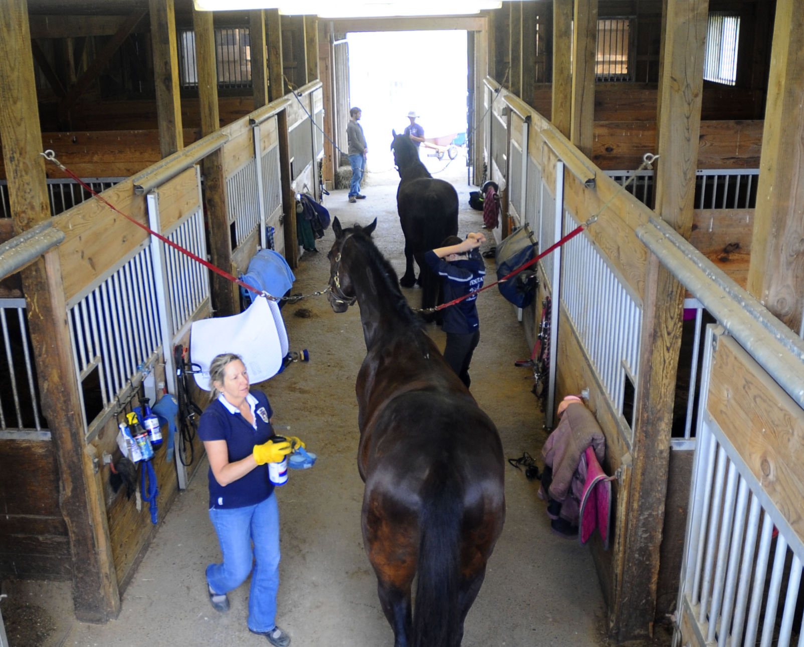 Members of the groom dressage team